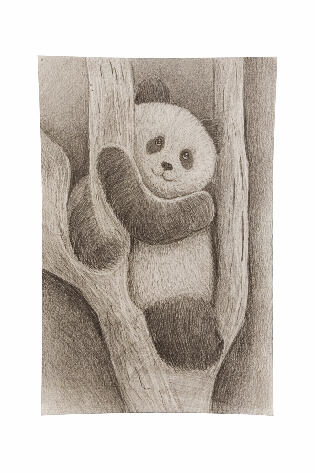 크레파스화 작품